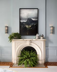 a living room with a fire place and potted plants on the mantle in front of it