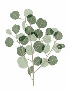 size: 12x9in Art Print: Windy Eucalyptus I by Melissa Wang : T Wallpaper, Easy Doodles Drawings, Selling Artwork, Painting Canvas, Featured Art, Gracie Oaks, Tree Painting, Green Backgrounds, Featured Artist