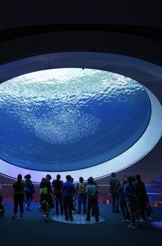 a group of people standing in front of a large circular object with blue water on it