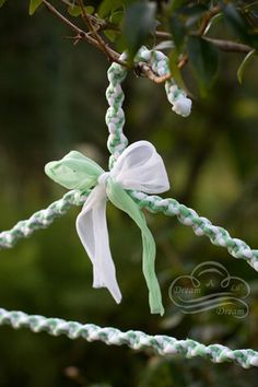 a white bow tied to a tree branch