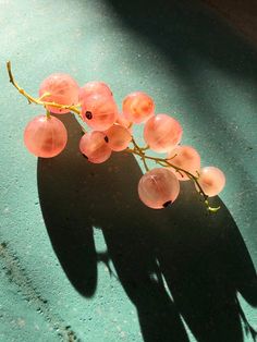 a bunch of pink flowers sitting on top of a green table next to a shadow