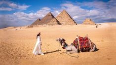 a woman standing next to two camels in front of the pyramids at giza