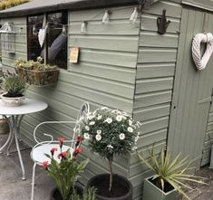 several potted plants are on the outside of a building with a small table and chairs next to it