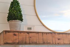 a potted plant sitting on top of a wooden shelf next to a wall clock