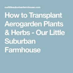 the words how to transplant aero garden plants and herbs - our little suburban farmhouse