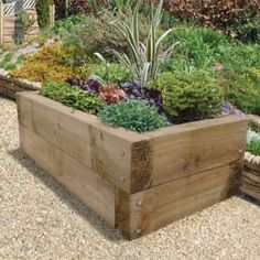 a wooden planter filled with lots of plants