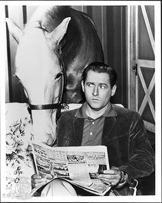 a man sitting in front of a horse reading a newspaper