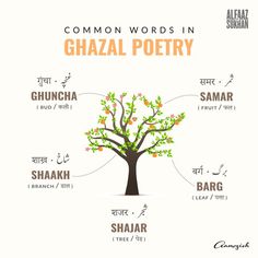 the common words in ghazail poetry are arranged around a tree with oranges on it