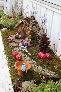 an outdoor garden with plants and mushrooms on the ground