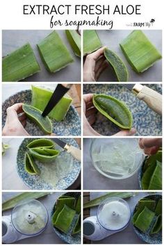 step by step instructions on how to make fresh aloe