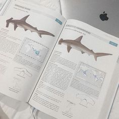 an open book with pictures of sharks on it