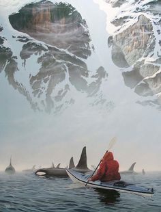 a man in a kayak surrounded by sharks