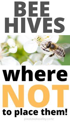 the bee hives where not to place them poster is shown in black and white