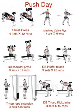 an exercise poster showing the different exercises to do with dumbbells and pull ups