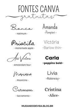 some type of font that is in different colors and sizes, with the names below it