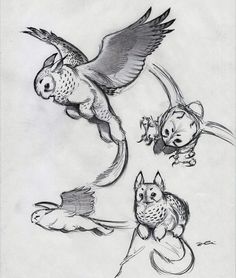 some drawings of birds and owls flying in the air