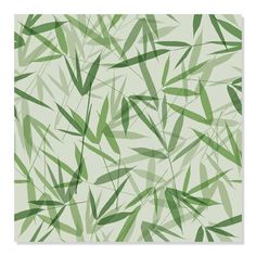 an abstract green background with bamboo leaves in shades of light and dark, on a white backdrop