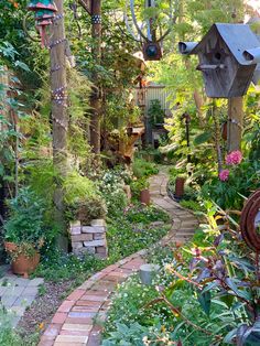 a garden filled with lots of different types of plants and flowers next to a birdhouse