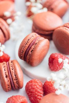 macaroons and raspberries on a plate with white flowers in the background