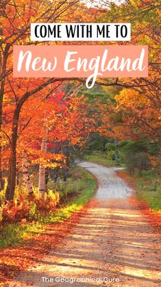 a dirt road surrounded by trees with the words where the locals go to see fall foliage in new england