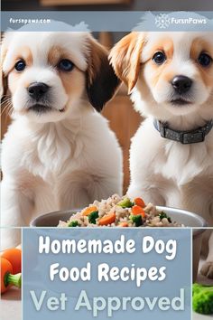 two puppies sitting next to each other with food in front of them and the words homemade dog food recipes vet approved