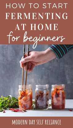 how to start fermenting at home for beginners by modern day self reliance