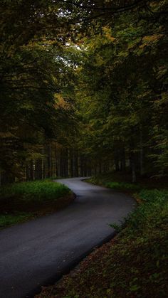 an empty road surrounded by trees and grass