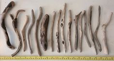 several pieces of driftwood laid out on a white surface next to a measuring ruler