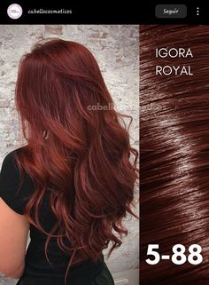 Igora Hair Color Formulas, Colorado Pelo, Pelo Colorado, Cherry Hair Colors, Wine Red Hair, Korean Hair Color