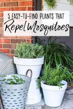 three buckets filled with plants sitting on top of a porch