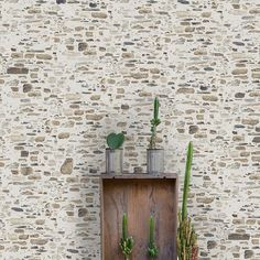 three cactus plants in vases on a shelf against a stone wall