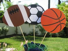 three basketball and soccer balls on sticks in a flower pot