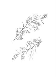 a line drawing of flowers on a white background