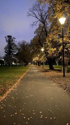 an empty path in the middle of a park at night with street lamps on either side