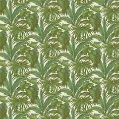 a green and white wallpaper with palm trees