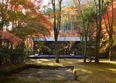 a house in the woods surrounded by trees with autumn foliage on it's sides