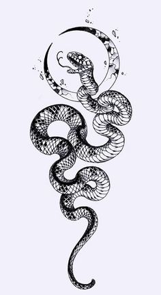 a drawing of a snake with its head in the air and it's tail curled up