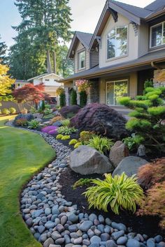 a garden with rocks and plants in front of a house