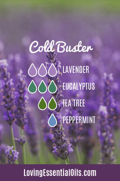 Cold Buster Essential Oil Blend for Inhaler, Roll on or Diffuser Recipe by Jennifer Lane Immunity Essential Oil Diffuser, Breathing Diffuser Blends, Veviter Essential Oil Diffuser Blends, Essential Oils For Fluenza, Inhaler Blends Essential Oils, Stomach Bug Diffuser Blend, Cough Essential Oils Diffuse, Diffuser Blends For Congestion, Sinus Relief Essential Oils Diffuser