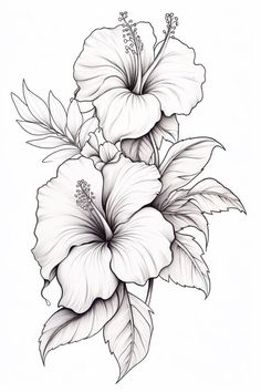 a black and white drawing of flowers with leaves on the bottom half of their petals