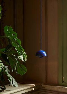 a blue light hanging from a ceiling next to a plant