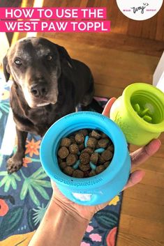 a dog sitting on the floor next to a person holding a bowl with food in it