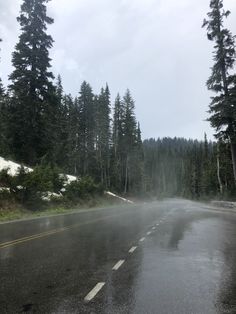 a wet road with trees on both sides