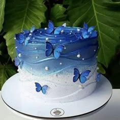 there is a blue and white cake with butterflies on the frosting, sitting on top of a plate