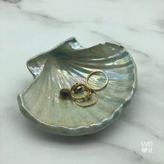 the shell is holding two rings on it