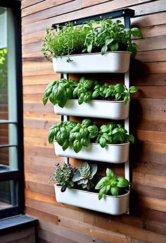 a vertical herb planter on the side of a wooden wall