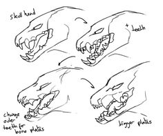 three different types of alligators with their mouths open and teeth wide, one showing the mouth