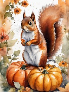 a painting of a squirrel sitting on top of pumpkins