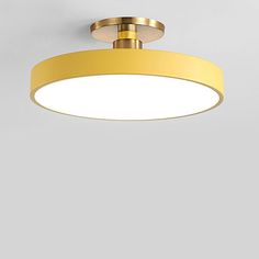 a round light fixture with a gold finish and dimmer on the ceiling, against a gray background