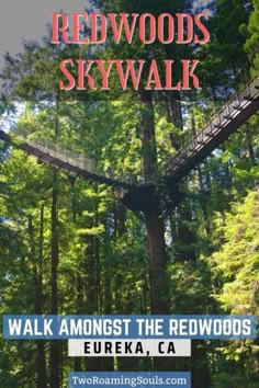 the cover of redwoods skywalk walk among the redwoods in eureka, ca